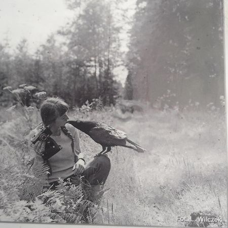 Białowieża In Nature מראה חיצוני תמונה