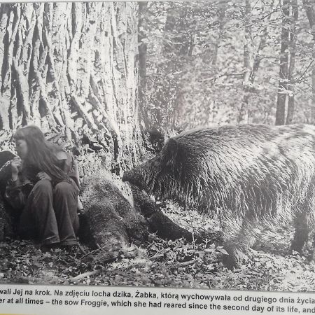 Białowieża In Nature מראה חיצוני תמונה