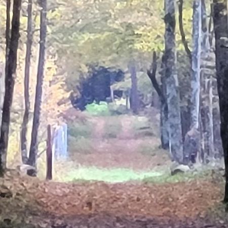 Białowieża In Nature מראה חיצוני תמונה