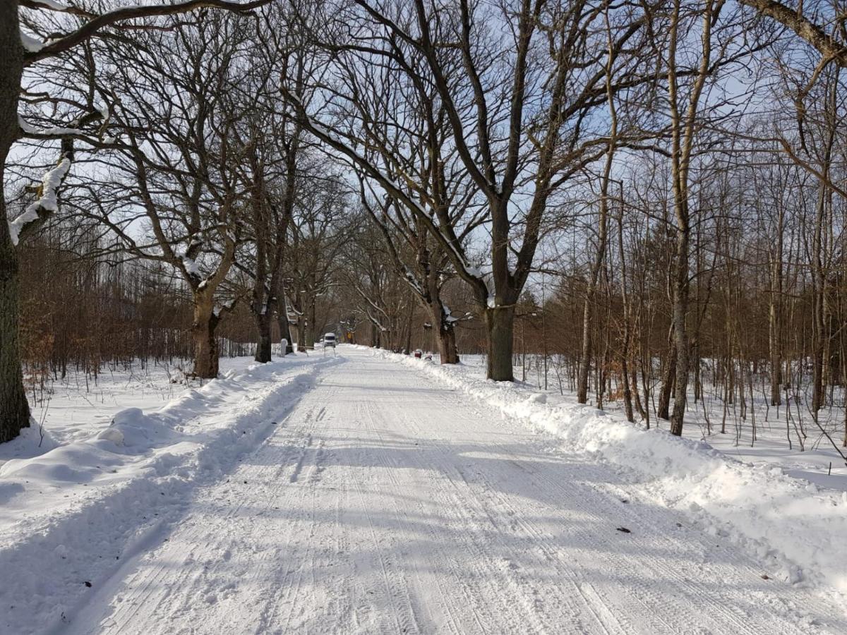 Białowieża In Nature מראה חיצוני תמונה