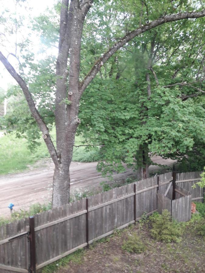 Białowieża In Nature מראה חיצוני תמונה