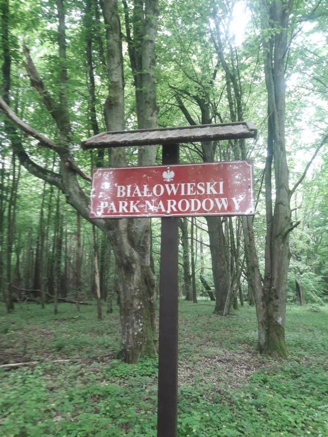 Białowieża In Nature מראה חיצוני תמונה