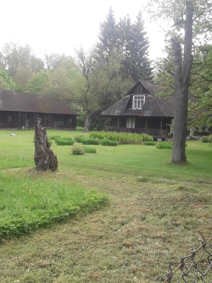 Białowieża In Nature מראה חיצוני תמונה