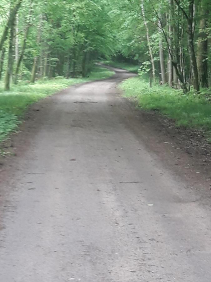 Białowieża In Nature מראה חיצוני תמונה