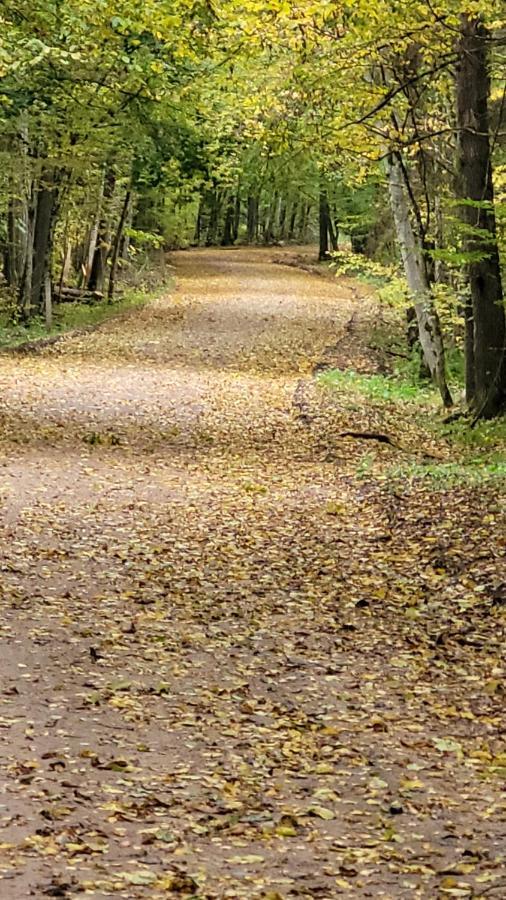 Białowieża In Nature מראה חיצוני תמונה