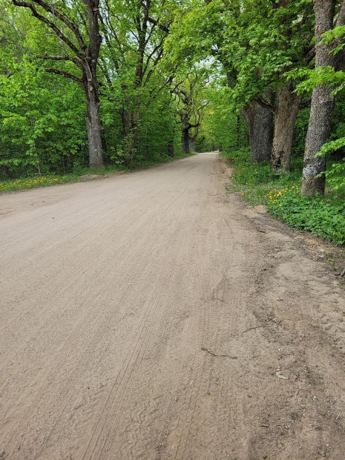 Białowieża In Nature מראה חיצוני תמונה