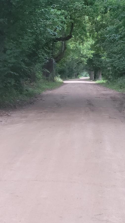Białowieża In Nature מראה חיצוני תמונה