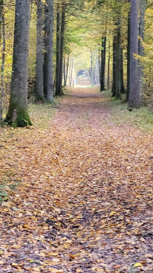 Białowieża In Nature מראה חיצוני תמונה